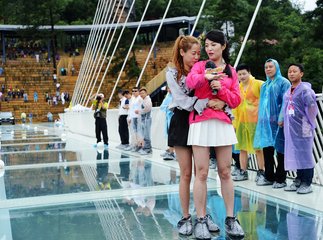 违法和不良信息举报受理和处置管理办法